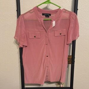 Pink Sheer Button-Up Blouse